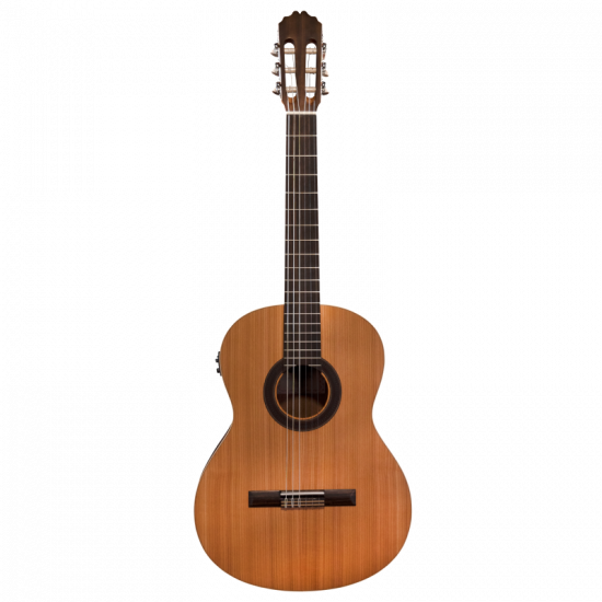 Prodipe Student 4/4 EQ