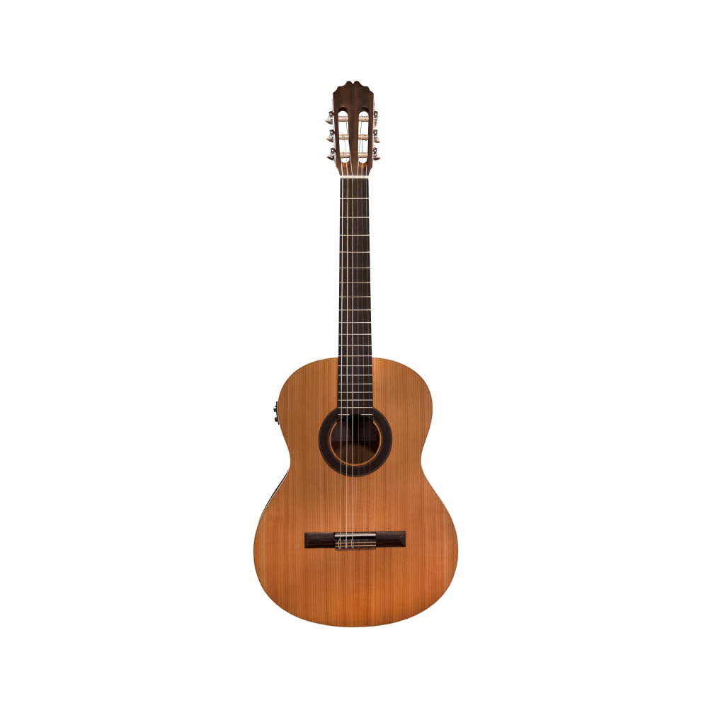 Prodipe Student 4/4 EQ