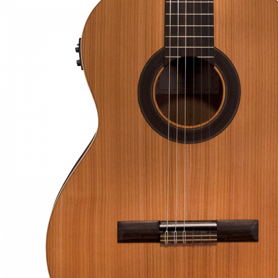 Prodipe Student 4/4 EQ