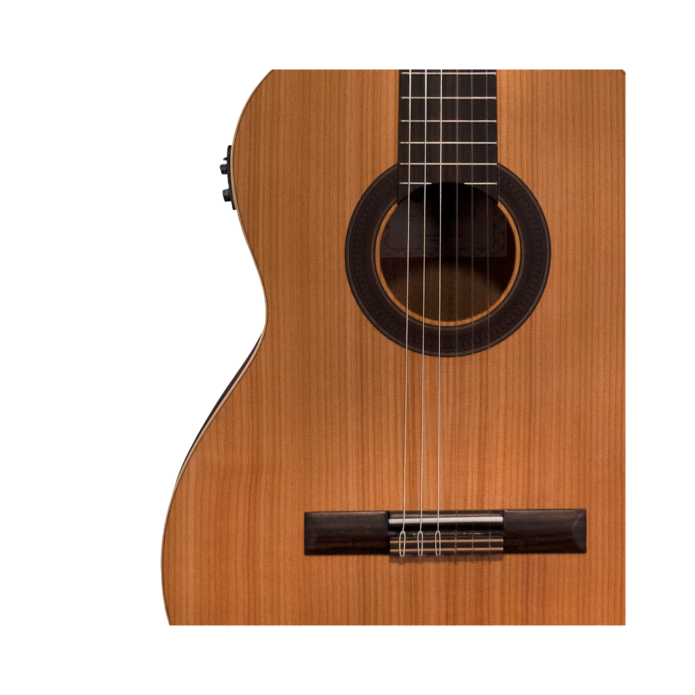 Prodipe Student 4/4 EQ