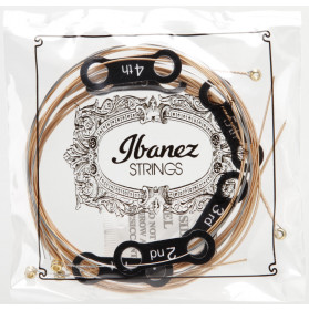 Ibanez jeu de corde Phosphore Bronze XL 10-47