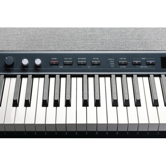KURZWEIL KA-P1 KB Dark Blue