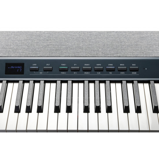 KURZWEIL KA-P1 KB Dark Blue