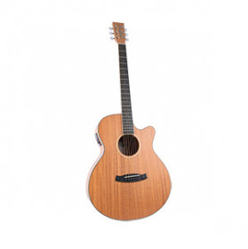 Tanglewood  Union TUN4 CE