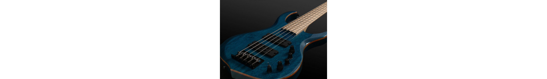 Guitares basses