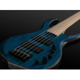 Guitares basses