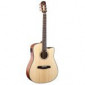 Guitares folk
